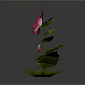 Vibrant Pink Flower With Fresh Green Leaves And Small Pink Buds On Green Base