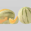 Fresh Ripe Cantaloupe With Striped Skin And Juicy Yellow Flesh Sliced