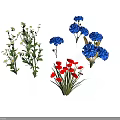 Decorative Plants With White Flowers Green Stems Blue And Red Blooms Against White Background