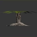 Two Palm Trees With Brown Trunks And Feathery Green Fronds On Stone Bases