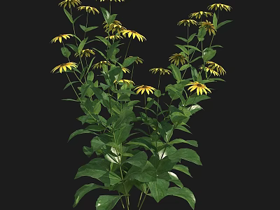 Vibrant Yellow Flowers With Lush Green Leaves On Fresh Green Plants 3d model