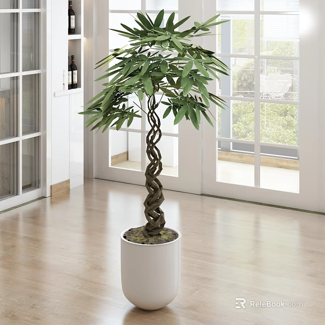 Bonsai Plant With Twisted Trunk And Lush Green Leaves In White Pot For Modern Interior 3d model 