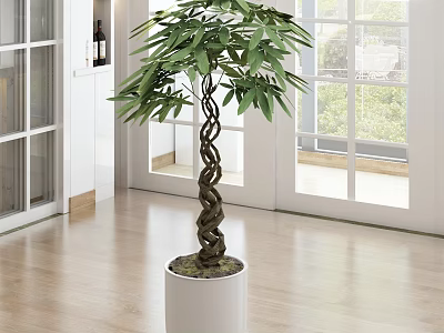 Bonsai Plant With Twisted Trunk And Lush Green Leaves In White Pot For Modern Interior 3d model
