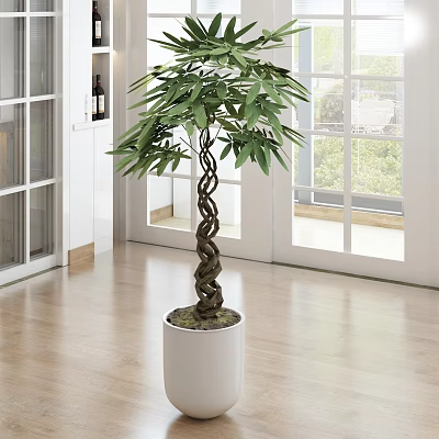 Bonsai Plant With Twisted Trunk And Lush Green Leaves In White Pot For Modern Interior 3d model