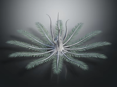 Symmetrical Green Plant With Radial Slender Leaves Central Stem And Glossy Texture On Dark Background 3d model