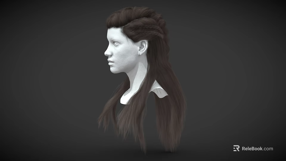 3D Human Head Model With Detailed Facial Features And Braided Brown Hair 3d model 