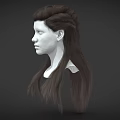 3D Human Head Model With Detailed Facial Features And Braided Brown Hair