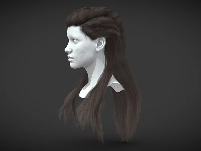 3D Human Head Model With Detailed Facial Features And Braided Brown Hair 3d model