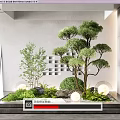Modern Courtyard Garden Design With Bonsai Tree Green Plants And Round Lanterns