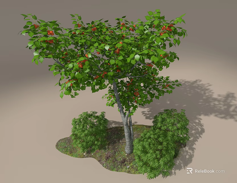 Tree Pit Featuring Green Leaves Red Fruits and Small Shrubs with Soil and Shadows 3d model 