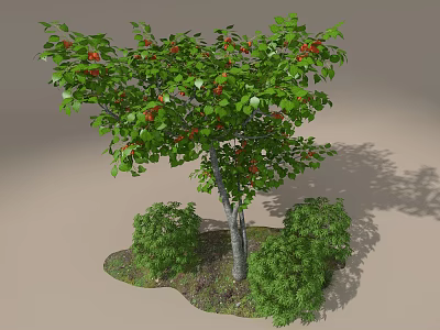 Tree Pit Featuring Green Leaves Red Fruits and Small Shrubs with Soil and Shadows 3d model