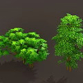 Different Types of Green Plants Featuring Bushes Vines Ferns and Lush Green Leaves