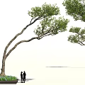 Arbor With Curved Trunks Green Leaves And Two People Standing Nearby