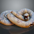 Brownish Yellow Spotted Snake Coiled With Open Mouth Red Interior On Dark Background