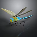Colorful Dragonfly With Green Blue Body And Transparent Wings On Dark Background With Reflection