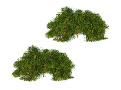 green plant tree 3d model