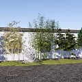 Bamboo Plants Growing Along White Wall With Gray Stone And Green Grass