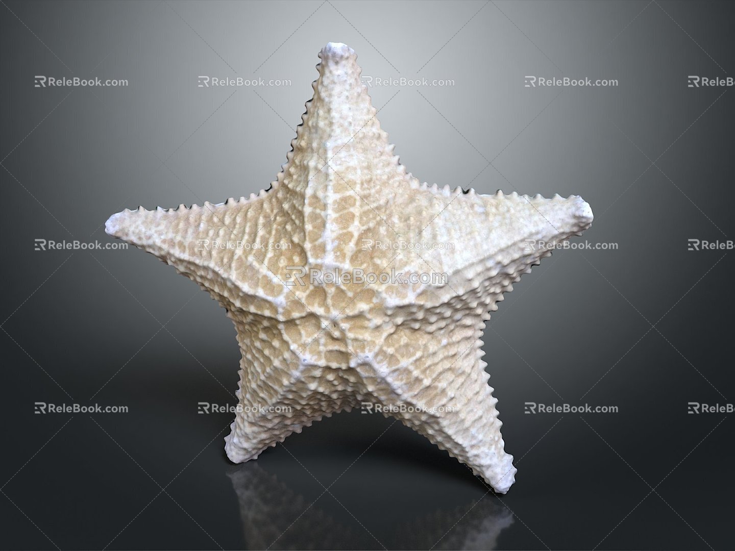 Modern starfish mollusk 3d model