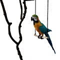 Parrot 3d model