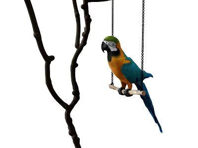 Vibrant Blue and Yellow Macaw Swinging on Hanging Wooden Swing Branch 3d model