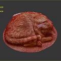 Cute Orange Cat Curled Up Sleeping On Woven Mat Against Dark Background