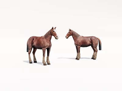 Two Detailed Brown Horse Figurines Standing Side By Side On White Background 3d model