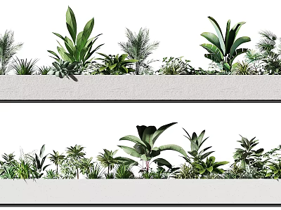 Bonsai Potted Plants Displayed in White Rectangular Planters with Various Green Leafy Species 3d model