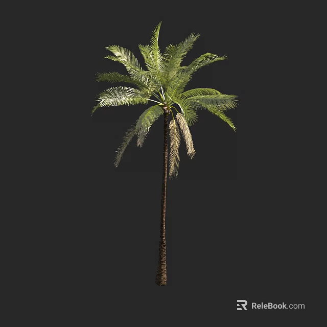 Tall Green Palm Tree With Lush Fronds And Brown Trunk In Natural Scene 3d model 