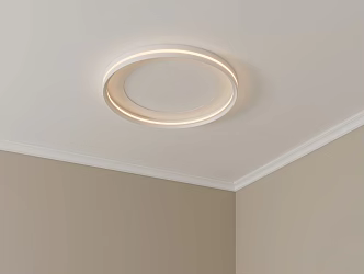 Ceiling lamp 3d model
