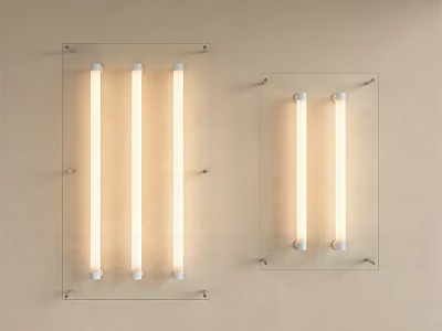 Modern Glass Light Box with LED Tubes and Wall Mounted Design for Interior Lighting 3d model