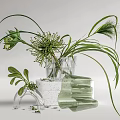 Transparent Glass Vase With Green Grasses And White Stacked Containers Decorative Indoor Plants