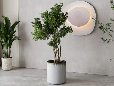 Indoor Arbor With Lush Green Leaves In Gray Cylindrical Pot And Circular Wall Decor 3d model