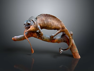 Lifelike Brown Chameleon Perched On Tree Branch With Extended Tongue And Curled Tail 3d model