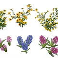 Decorative Colorful Yellow Small Flowers And Pink Blue Hyacinth With Green Leaves