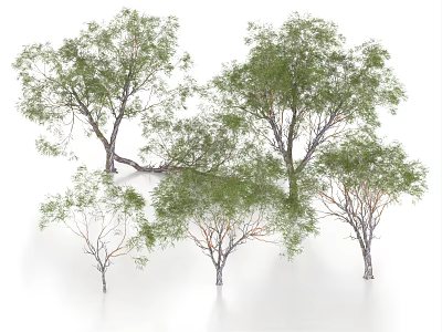 Arbor Trees With Green Foliage And Various Sizes In Natural Form 3d model