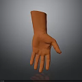 Orange Human Hand 3D Model With Smooth Surface And Shadow On Gray Background
