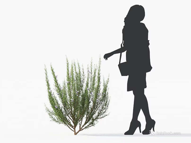 Silhouette of a woman in high heels reaching to touch green leafy shrub with handbag 3d model 