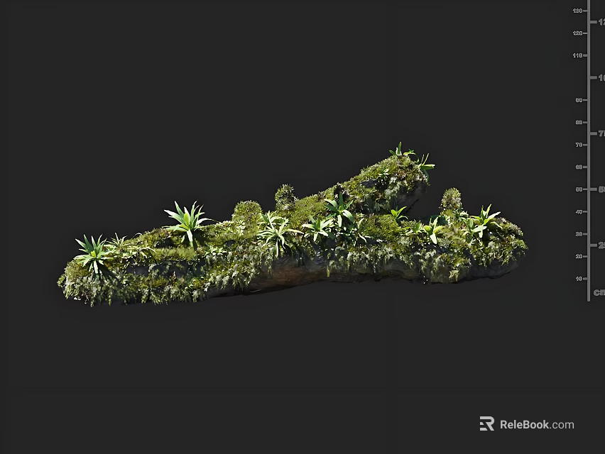Moss Covered Object With Small Plants On Black Background And Measurement Scale 3d model