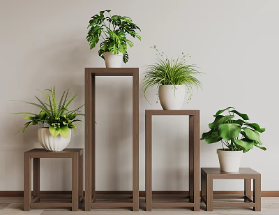 Wooden Plant Stands Interior Decor With Potted Green Plants And Different Heights 3d model