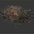 Natural Compost Pile With Twigs Fallen Leaves Soil And Green Plants