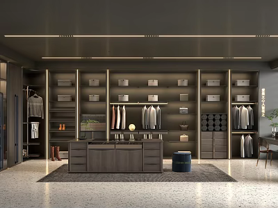 Modern Walk in Closet Interior Design With Hanging Rods Shelves And Storage Cabinets 3d model