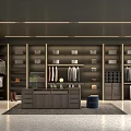 Modern Walk in Closet Interior Design With Hanging Rods Shelves And Storage Cabinets