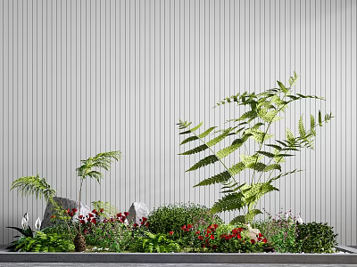 Small Garden Decorative Setup With Green Ferns Red Flowers Stones And Gray Striped Wall 3d model