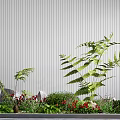 Small Garden Decorative Setup With Green Ferns Red Flowers Stones And Gray Striped Wall