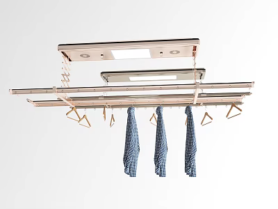 Retractable Ceiling Mounted Electric Clothes Hanger with Metal Rods Drying Towels and Clothes 3d model