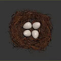 Bird Nest Made Of Straw Containing Four White Eggs On Dark Background