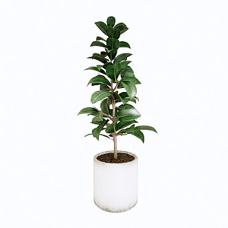 modern potted leafy plant potted 3d model