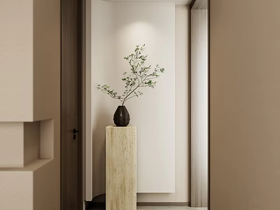 Minimalist Entryway Hallway Interior Design With Light Colored Wall Pedestal Vase And Green Plant 3d model