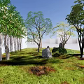 Bamboo Grove in Natural Garden Landscape with Green Grass Rocks and Trees