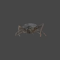 Detailed Realistic Cockroach With Dark Body Long Antennae And Legs